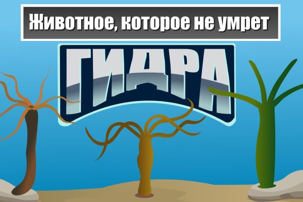 Зайти на кракен без тора