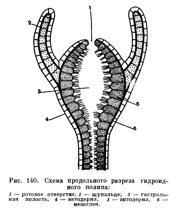 Сайт кракен рабочая ссылка